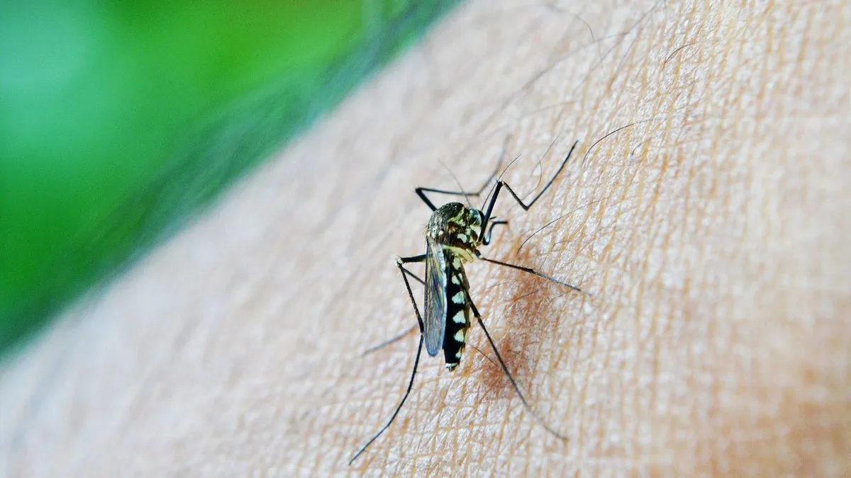 Los ministros de Salud de todo el país se reúnen para analizar el brote de dengue