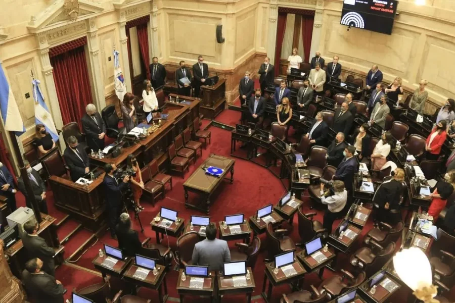 Ley Base: senadores nacionales correntinos votaron a favor